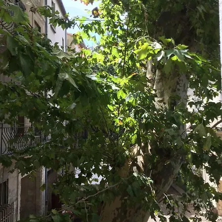 Plaisance Διαμέρισμα Αβινιόν