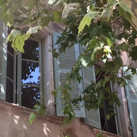 Plaisance Avignon