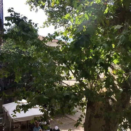Plaisance Avignon