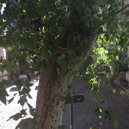 Plaisance Apartment Avignon